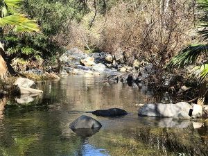 San Diego Water Quality